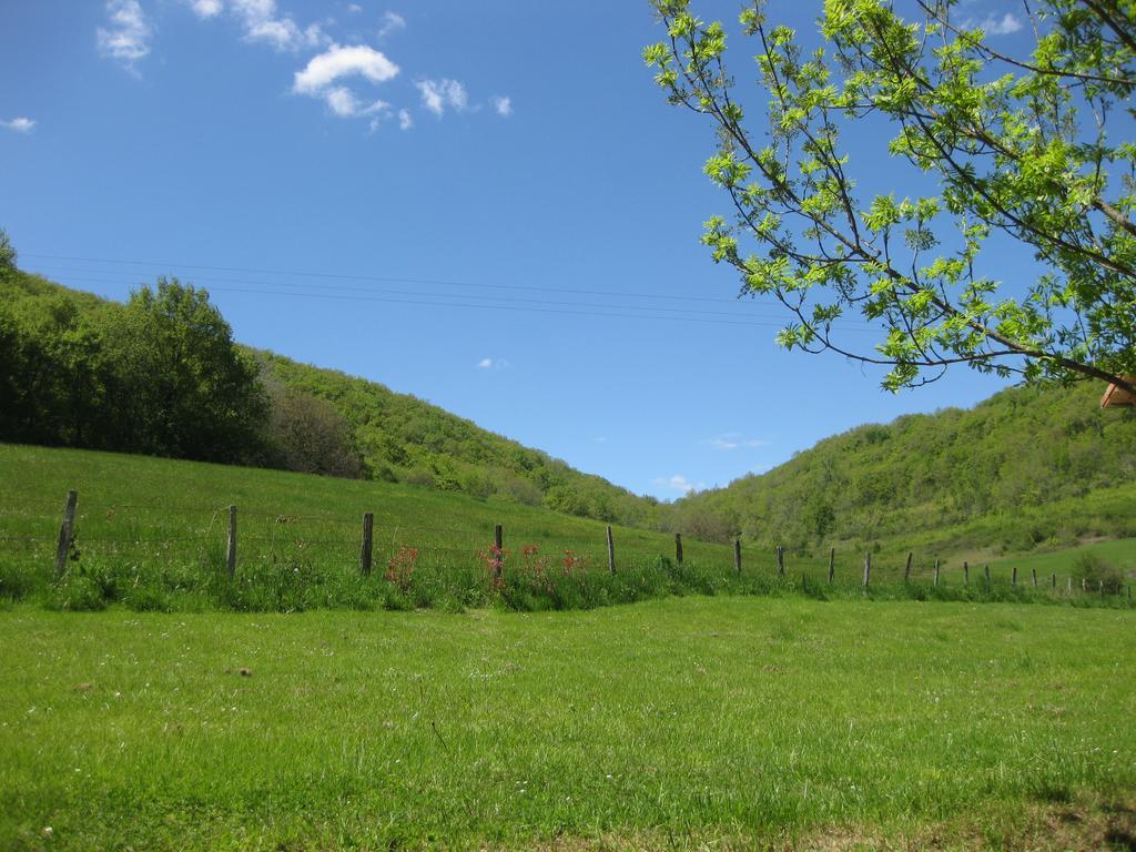 Domaine La Rose Bed and Breakfast Caylus Exterior foto